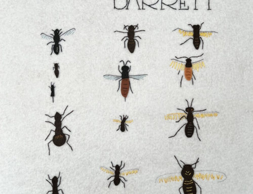 Syd Barrett – Barrett (1970)